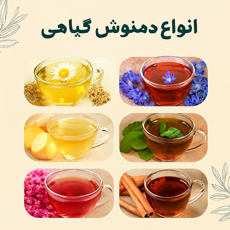 انواع دمنوش‌ گیاهی و خواص شگفت‌انگیز آن‌ها